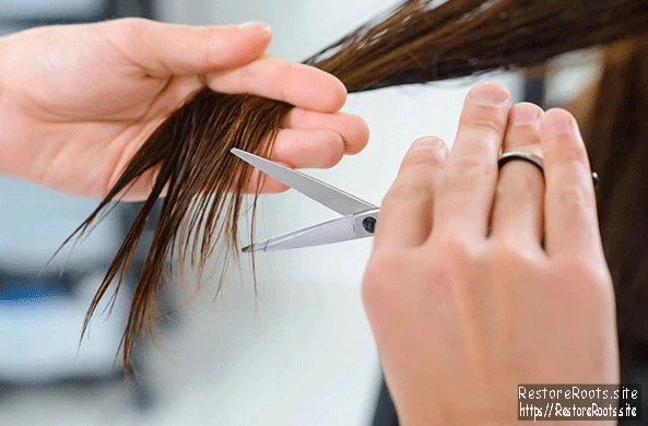 Trimming for Hair Health